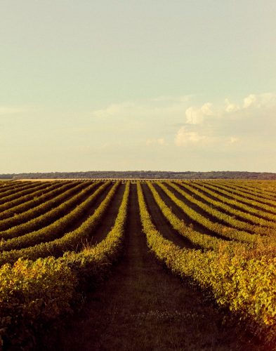 2149681473 2149681473